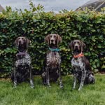 Laura Lamont - @ada_eva_millie - Instagram