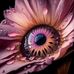 Laura Lamont - Facebook