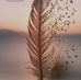 Laura Lampert - Facebook