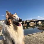 Laura Landi - @laura.landi.65 - Instagram
