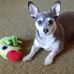 Laura Lantz - Facebook