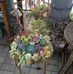 Laura Lanzoni - Facebook