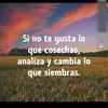 lauralaredo23 - @lauralaredo23 - TikTok