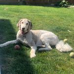 Laura Laxton - @laura_laxton - Instagram