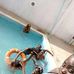 Laura Lazaro - Facebook
