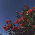 Lauleclerc - @laura_leclerc_ - Instagram