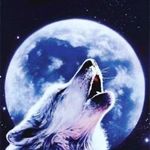 Laura Leclerc - @leclerc0506 - Instagram