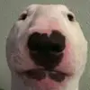 lego.laura - @lego.laura - TikTok