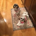 Laura Leibowitz-Tripp - Facebook