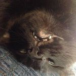 Laura Leighty - @quil123456 - Instagram