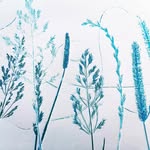 printmaker | L L T - @lauraleithtaylor - Instagram