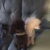 Laura Lemanski523 - @lauralemanski1 - TikTok