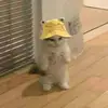 Lalaura - @lauraleonetti696 - TikTok
