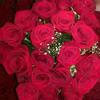 Leopard__laura - @leopard__laura - TikTok