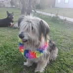 Laura Lescano - Facebook