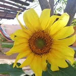 Laura Lezama - @laura.lezama.391 - Instagram