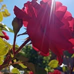 Laura Lezama - Facebook