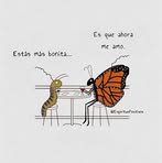 Laura Lezama - Facebook