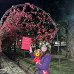 Laura Limone - Facebook