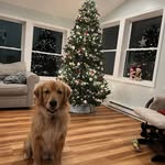 Laura Lindquist - @lindquist.laura - Instagram