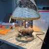 lauralindquist495 - @lauralindquist495 - TikTok