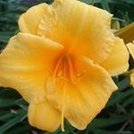 Laura Linkous Hoyt - @41sunshine75 - Instagram