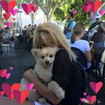 Laura Littrell - @llittrell - Instagram