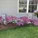 Laura Litzinger - Facebook