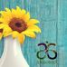 Laura Luft - Arbonne Independent Consultant - Facebook