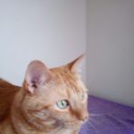 Laura Lyle - Facebook