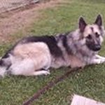 Laura Lynde - @lynde8487 - Instagram
