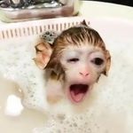 laura_lyra - @laura_lyra42 - Instagram