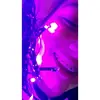 Laura Machuca  - @lau_machuca - TikTok
