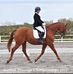 Laura MacLachlan           UKCC Level 2 Equestrian Coach - Facebook