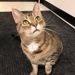 Laura Madonna - @lmadonna4 - Instagram