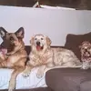 lauramanas93 - @lauramanas93 - TikTok
