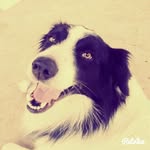 Laura Mangini - @la_piera3 - Instagram
