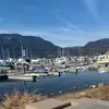 laura_mango - @laura_mango - TikTok