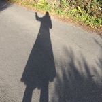 Laura Manser - @slow_willow - Instagram