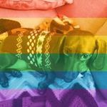 Laura Mantz - @avlam1360 - Instagram
