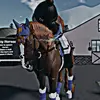 ꩇׁׅ݊꯱ׁׅ֒ꫀׁׅܻ !! . 🐎 - @mapleslaura - TikTok