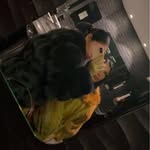 LL - @je_mappelle_lauraa - Instagram