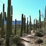 Laura Markowitz - @lauramarkowitzmultimedia - Instagram