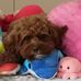 Laura Maselli - Facebook