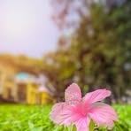 Laura Mata - Facebook