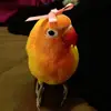 Lauᥫ᭡ - @lauramatt_7 - TikTok