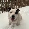 LauraMatt65 - @lauramatt65 - TikTok