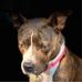 Laura York Mattison - Facebook