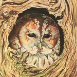 Laura Maughan - @lauramaughanartist - Instagram