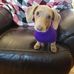 Laura Thomas-McAbee - Facebook